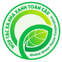 Tuyển dụng việc làm Hợp Tác Xã Nhà Xanh Toàn Cầu
