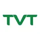 Tuyển dụng việc làm CÔNG TY TNHH TVT HOLDINGS
