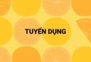 Công ty Du Lịch Lữ Hành