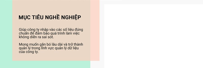 cách viết cv nhập liệu mục tiêu nghề nghiệp