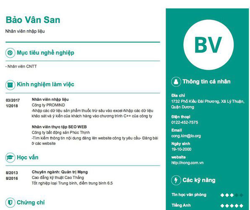 mẫu cv nhập liệu ấn tượng