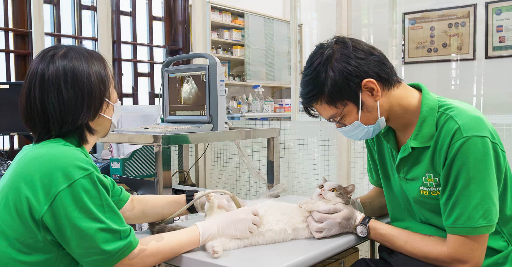 Bạn cũng có thể lựa chọn kinh doanh các dịch vụ thú y