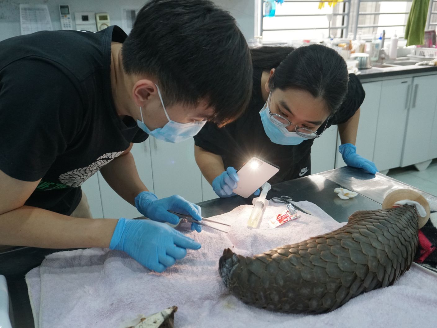 Bác sĩ thú ý cũng có thể cân nhắc làm việc trong các sở thú hoặc khu bảo tồn