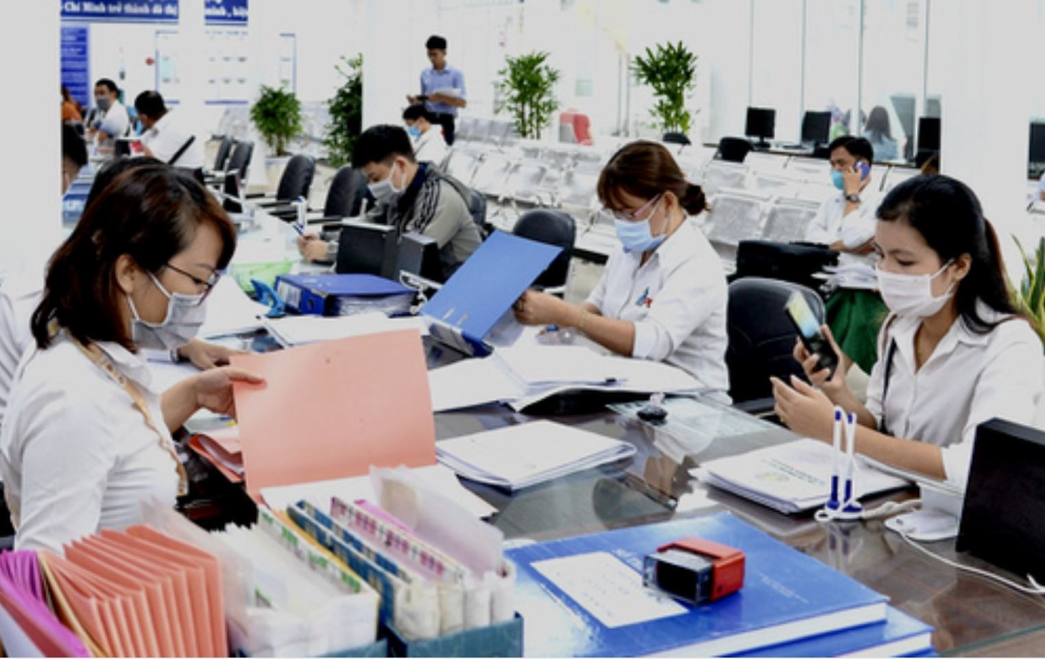 Việc phân loại ngạch công chức có nhiều ý nghĩa, đặc biệt là trong việc xếp lương cho công chức