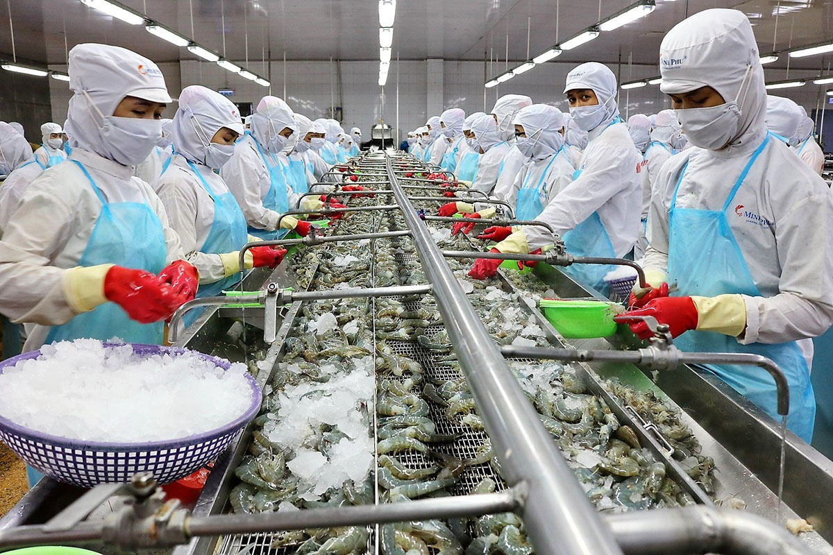 Chế biến thủy hải sản - lĩnh vực việc làm ở Rạch Giá tuyển dụng nhiều